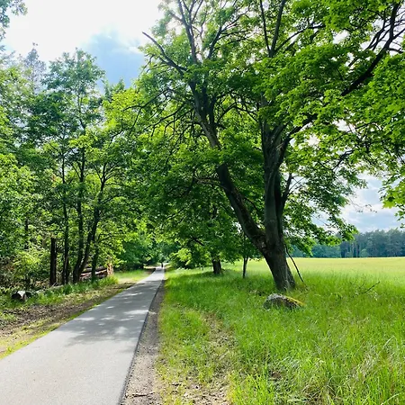 Klein Aber Fein In Der Altstadt