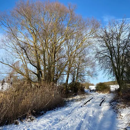 Klein Aber Fein In Der Altstadt * Angermunde