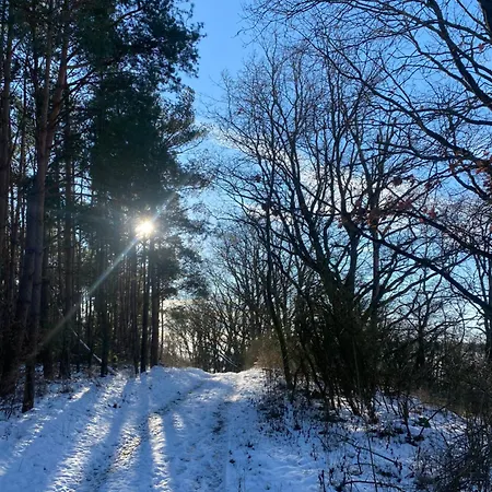 Klein Aber Fein In Der Altstadt