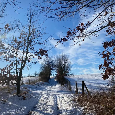 Klein Aber Fein In Der Altstadt Appartement