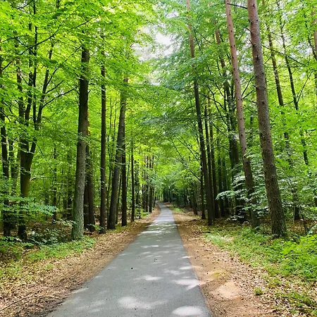 Appartement Klein Aber Fein In Der Altstadt *