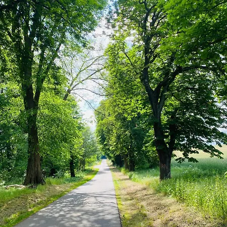 Klein Aber Fein In Der Altstadt Appartement Angermunde