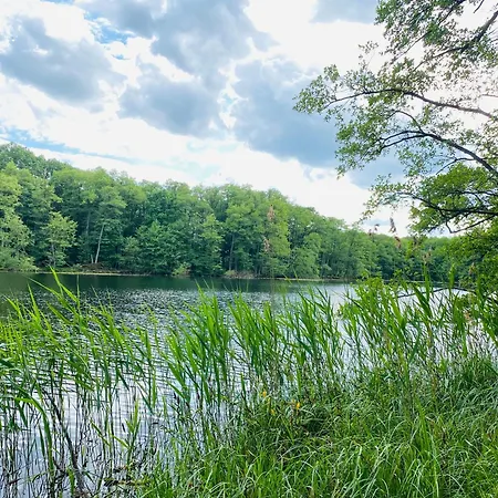 Klein Aber Fein In Der Altstadt * Angermunde