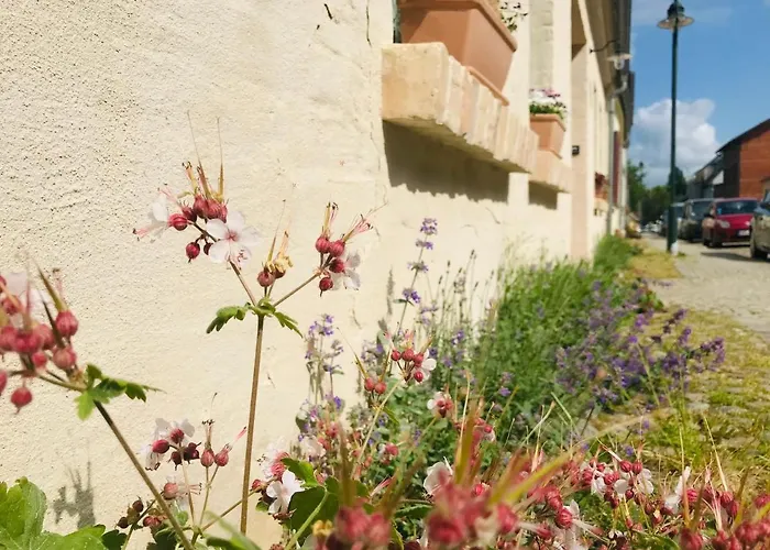 Klein Aber Fein In Der Altstadt Lägenhet *