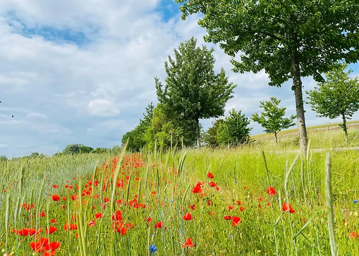 Klein Aber Fein In Der Altstadt Lägenhet