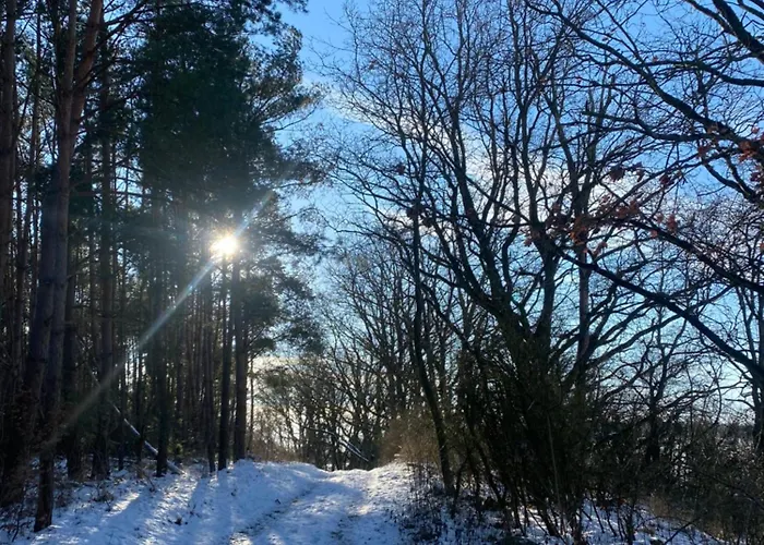 Klein Aber Fein In Der Altstadt