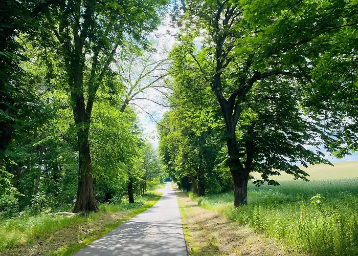 Klein Aber Fein In Der Altstadt Lägenhet Angermunde